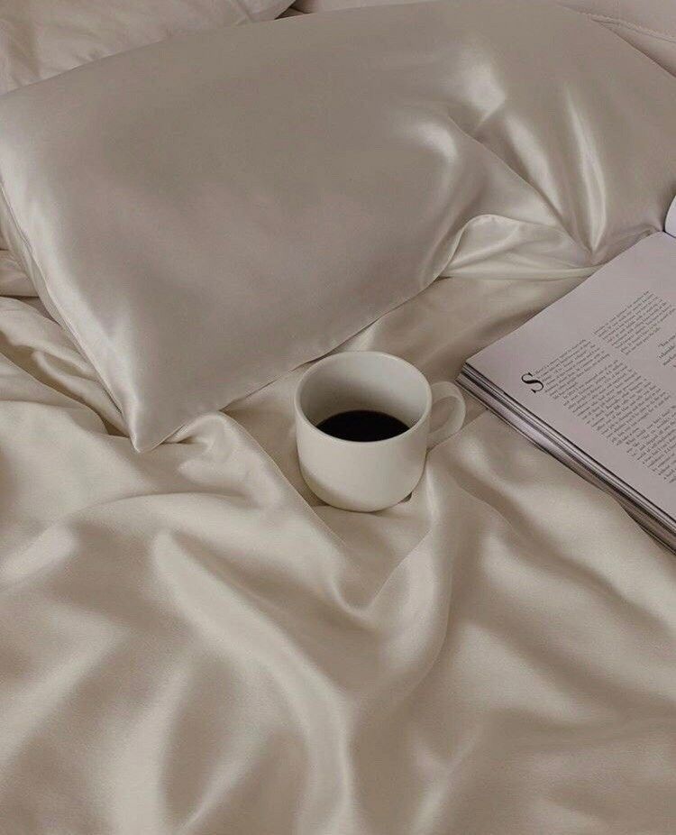 Satijnen zijden biologische schoonheidskussensloop